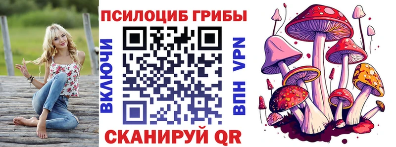 Галлюциногенные грибы Psilocybe  сколько стоит  KRAKEN ССЫЛКА  Кремёнки 