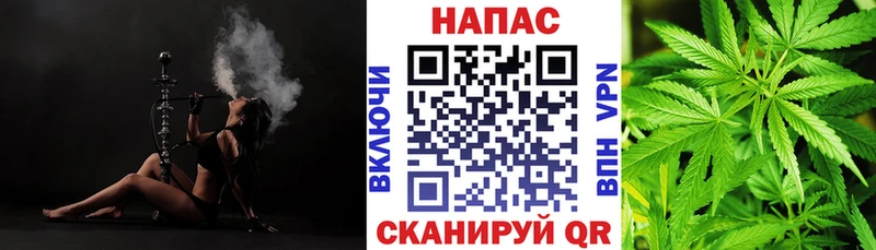 Конопля сатива  Кремёнки 